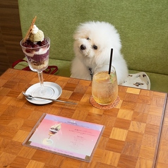 evergreen cafe restaurant ebisu エバーグリーンカフェレストランエビスの特集写真