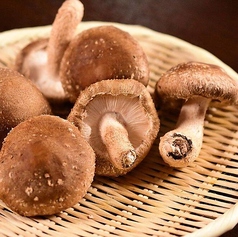 天ぷらみふゆ藤の特集写真