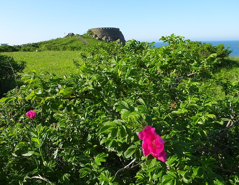今日明日は気温が上がるようですね！花粉注意　※日月はお休みを頂戴していますm(__)m