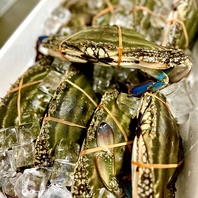 当店は新鮮な海鮮料理や海鮮蒸気鍋などをご用意してます