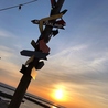 ロングボード バー&グリル Longboard Bar&Grillのおすすめポイント1