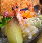 鮮度のよい海の幸が盛りだくさん！味わい深い鮮魚を美味しいお酒と心ゆくまで楽しめます。