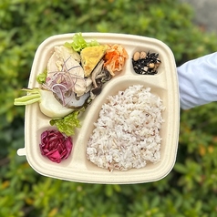 [TAKE OUT] Daily Plate(デイリープレート) / Well Plate(ウェルプレート)