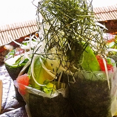 アボカドと鮪のねぎトロ生春巻の写真