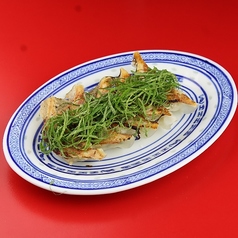 さっぱり梅シソ餃子