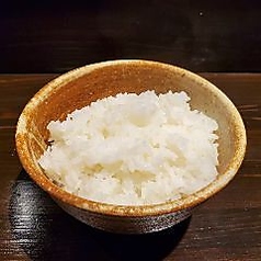 白ごはん 各種