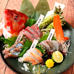 本日の旬の鮮魚4種盛り　～擦りたて大垣産の真妻わさび～