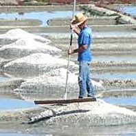 塩へのこだわり