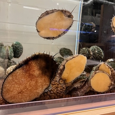 活あわび姿刺身