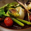 料理メニュー写真&nbsp;彩り野菜のマリネ