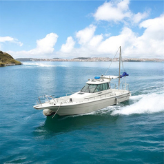 毎週宿毛湾から出船して新鮮な魚を釣って提供しています