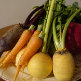 旬の彩り野菜