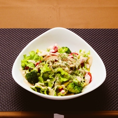 ALZE chicken salda ALZEサラダ