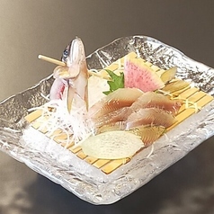 鮎お造り