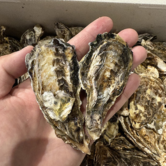 岡山県産日生牡蠣！1kg