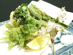 〈新潟〉春の山菜天麩羅