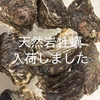 居酒屋 かげや