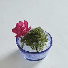 八重山漁協海ぶどう生産部会直送 海ぶどう ~自家製シークワーサー醤油で~