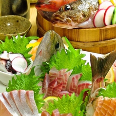 酒菜 アサカゼ ASAKAZE 鍛冶屋町店イメージ