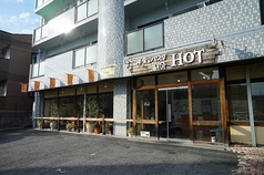 洋食・パスタ HOTの特集写真