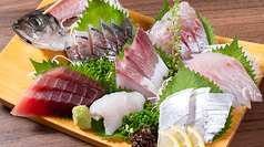 本日のおすすめ　厳選鮮魚のお造り盛り合わせ