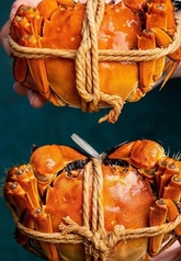 中国料理 王宮 OHKYU 名古屋駅店のコース写真