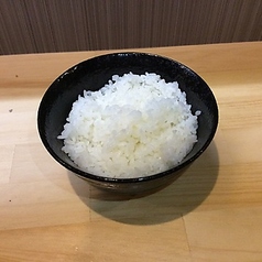 ライス/お茶漬け