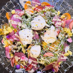 あみちゃんファームの採れたて野菜とブッラータチーズ季節のフルーツサラダ