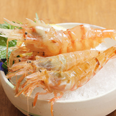 酒、時々めし さんそんのおすすめ料理2