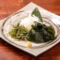 料理メニュー写真&nbsp;天然肉厚わかめの刺身