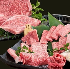近江うし焼肉　にくTATSU青山本店の特集写真