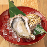 【鮮度抜群】隠岐の島産 殻付き生牡蠣