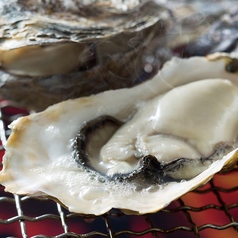 大人気メニュー『厚岸産 牡蠣』　新鮮な牡蠣を使用！ぷりぷり食感で濃厚な味わいの自慢の一品！の写真