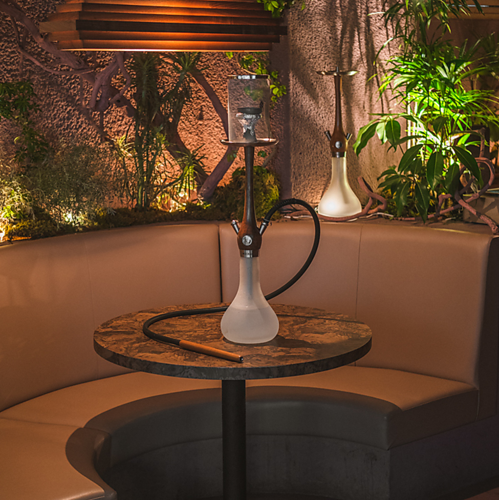 Shisha cafe&bar CA6DEN カルデン 六本木店の写真ギャラリー