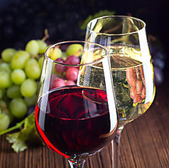 選び抜かれたドリンクで贅沢な食事を♪