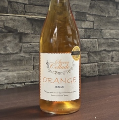 シエラ コジャド オレンジ2024