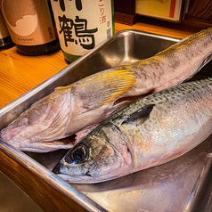 本日のおすすめ各種…