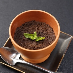 アールグレイの苗木