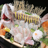 魚や貝の種類によって異なりますが、お好きな調理方法を選んでください!調理方法は、造り、煮付け、お寿司、唐揚げなど釣れた魚によって様々な調理方法をお選びいただけます!
