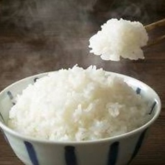 白ごはん
