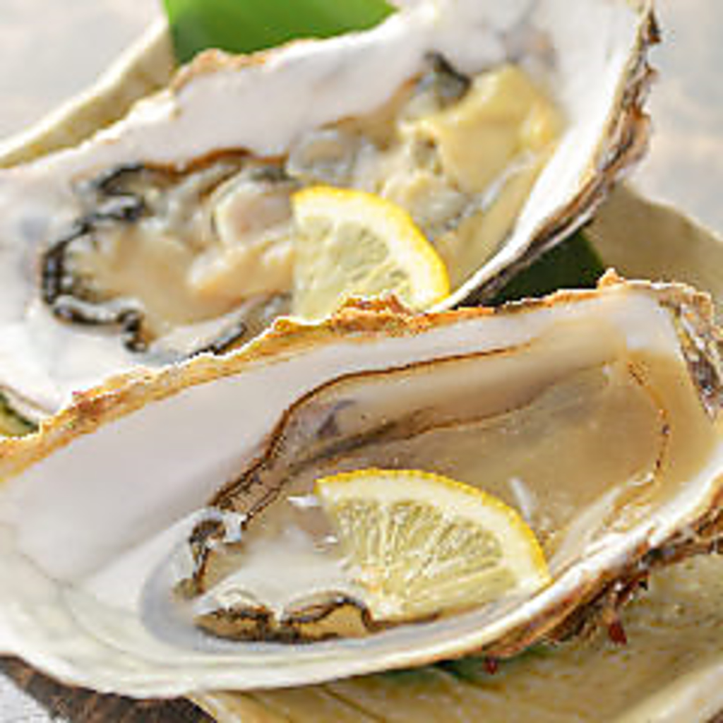 石巻雄勝産の牡蠣は今が一番美味しいんです♪