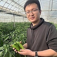 茨城県の契約農家直送の新鮮な無農薬野菜を使用