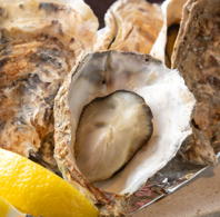 旬の【瀬戸内の海鮮】を厳選し、お客様へお届け♪