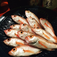 玄界灘の鮮魚を使用！