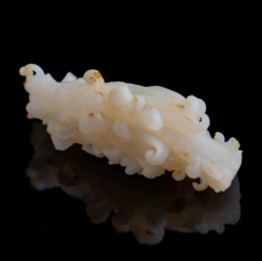 ヤリイカの握り