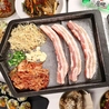 韓国屋台料理とプルコギ専門店 ヨンチャン プルコギのおすすめポイント3