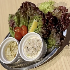 【野菜たっぷり】つつむサラダ