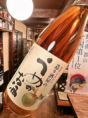 えいせん梅酒