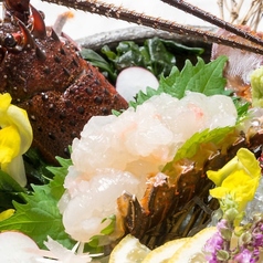 陽溜 ひだまり 食堂 日吉町店のコース写真