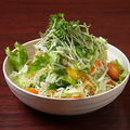 料理メニュー写真&nbsp;SALAD MENU